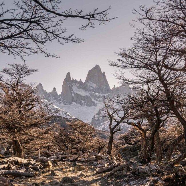 Excursion en Ushuaia